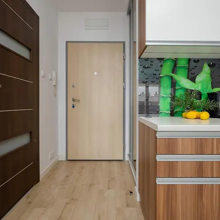 アパート Modern In With Underground Parking By Renters ワルシャワ